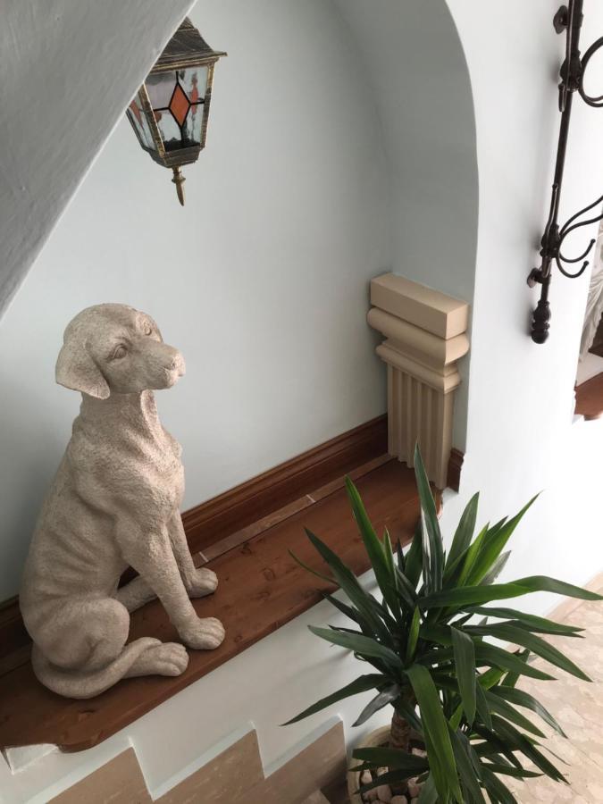 Lilly Bed & Breakfast Sulmona Dış mekan fotoğraf